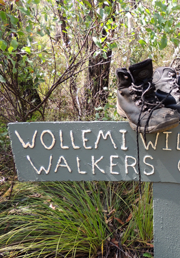  - Wollemi National Park